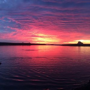 Meet your Posher, Evan